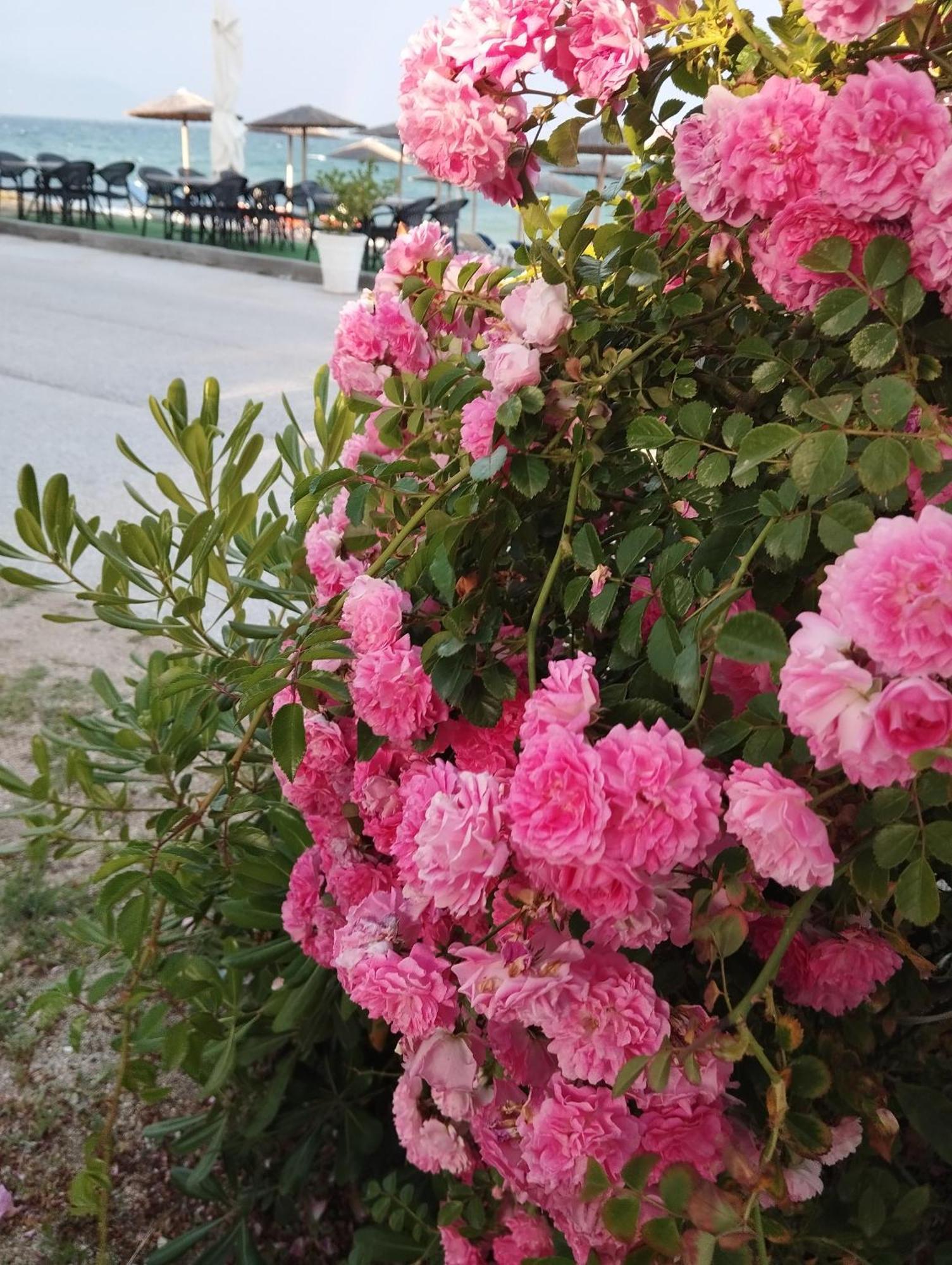Bella Vista Apartments Vrasná Dış mekan fotoğraf