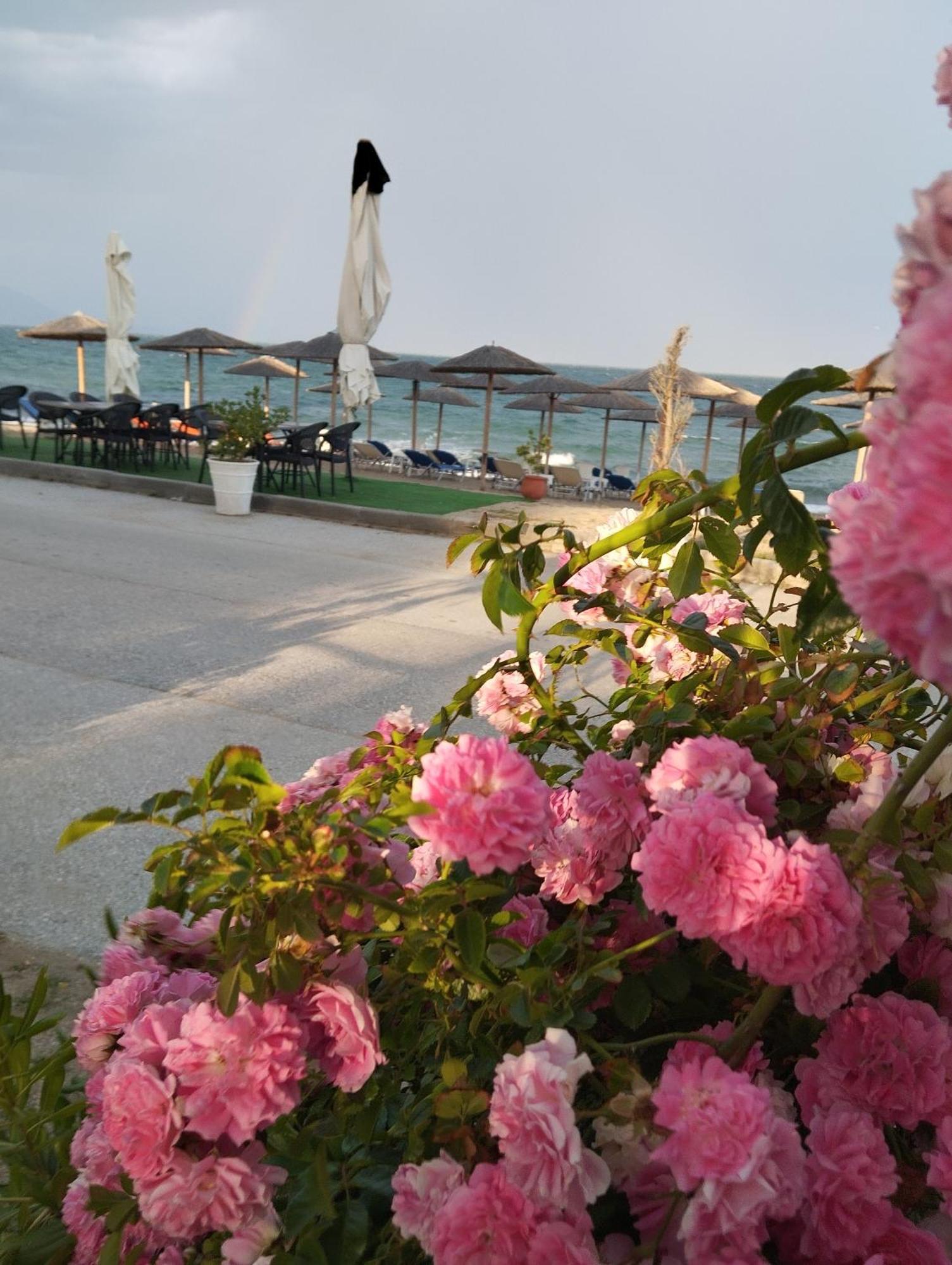 Bella Vista Apartments Vrasná Dış mekan fotoğraf