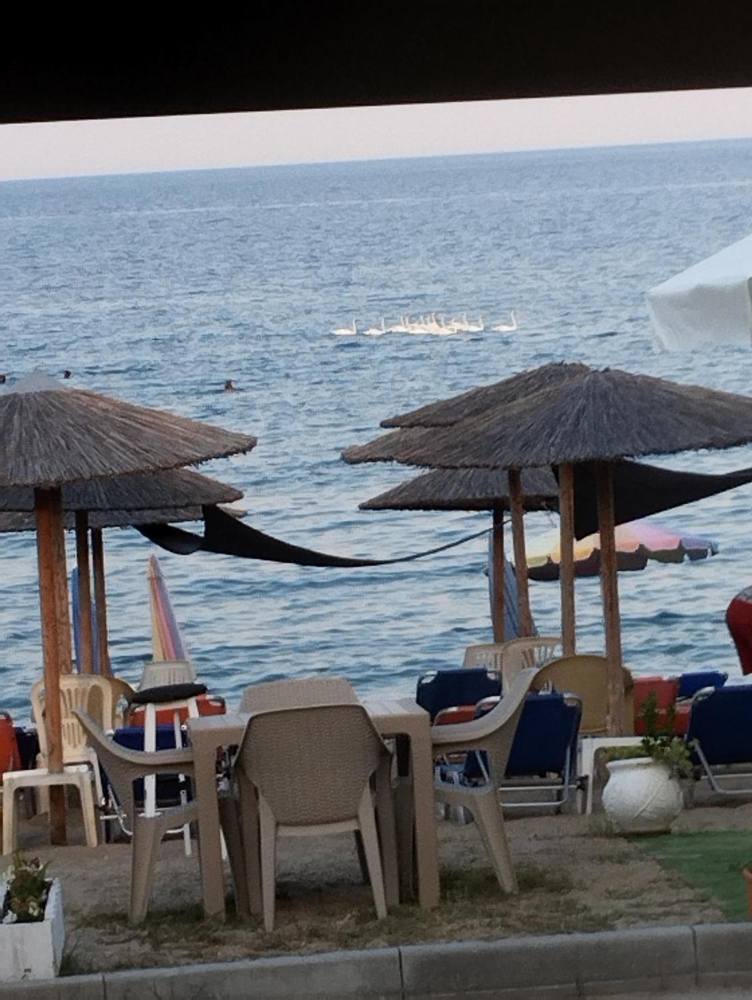 Bella Vista Apartments Vrasná Dış mekan fotoğraf