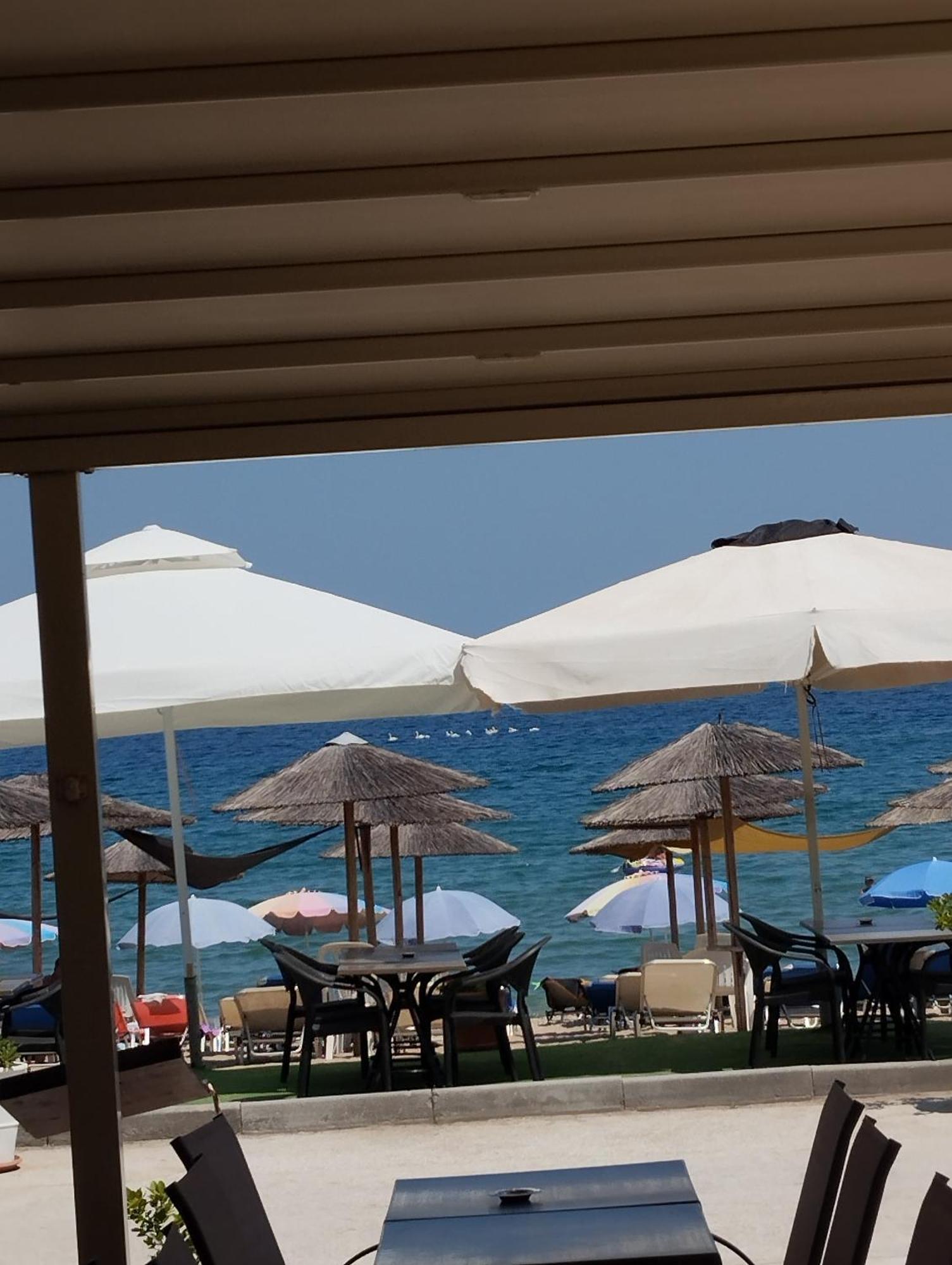 Bella Vista Apartments Vrasná Dış mekan fotoğraf